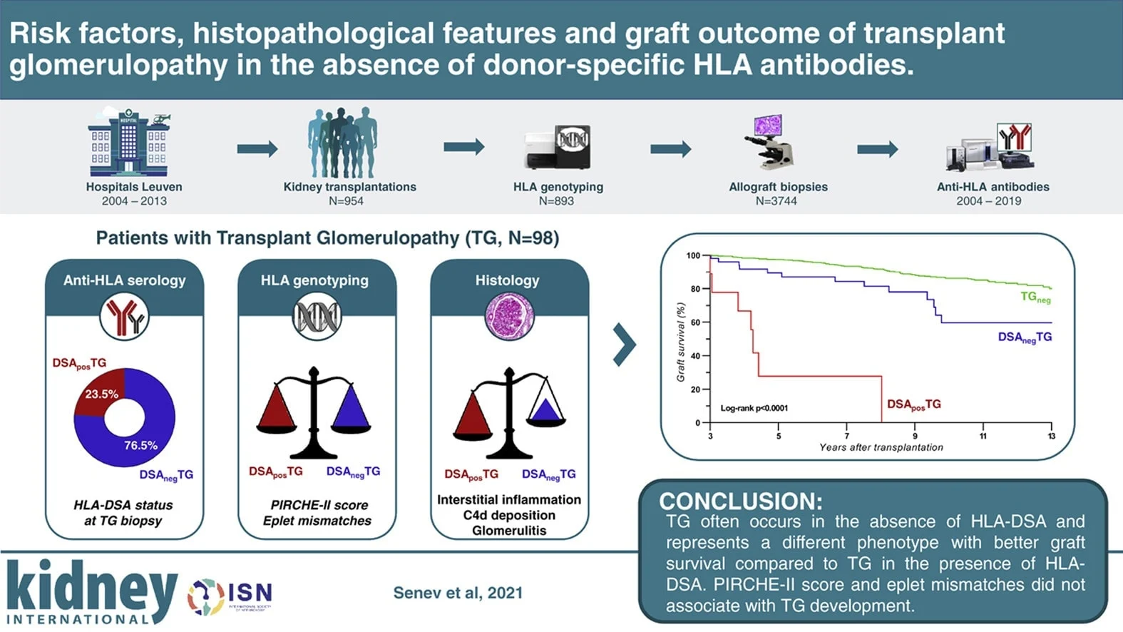 Risk factors, histopathological features, and graft outcome